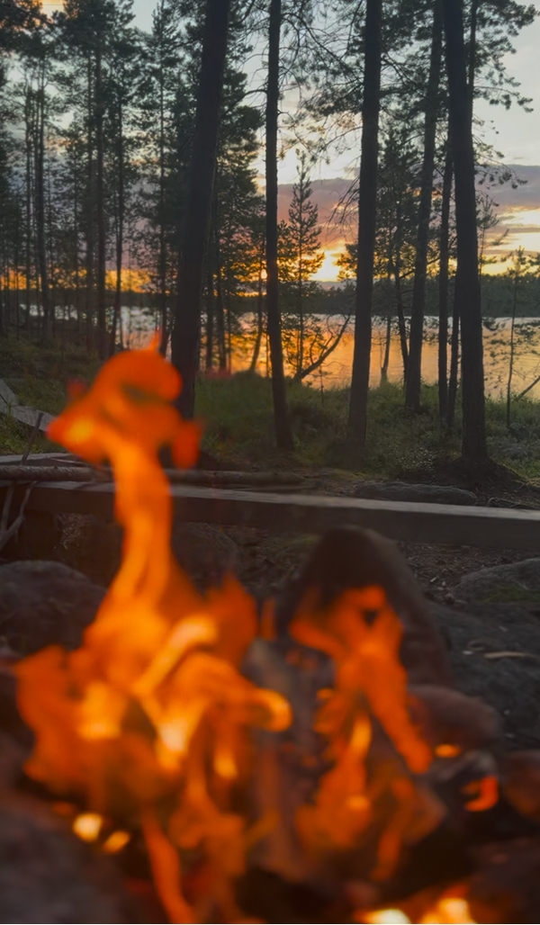 Luontokuva – käsi sienessä metsässä